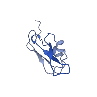 9995_6kig_g_v1-2
Structure of cyanobacterial photosystem I-IsiA supercomplex