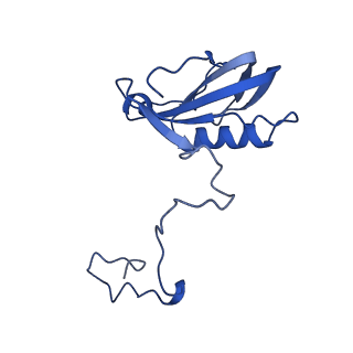 9995_6kig_h_v1-2
Structure of cyanobacterial photosystem I-IsiA supercomplex