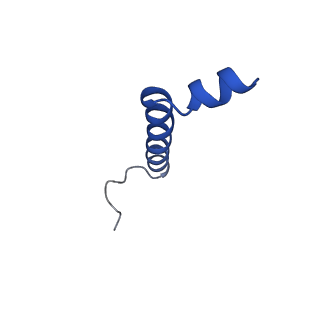 9995_6kig_l_v1-2
Structure of cyanobacterial photosystem I-IsiA supercomplex