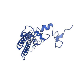 9995_6kig_n_v1-2
Structure of cyanobacterial photosystem I-IsiA supercomplex
