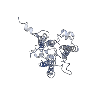 9995_6kig_q_v1-2
Structure of cyanobacterial photosystem I-IsiA supercomplex