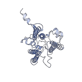 9995_6kig_r_v1-2
Structure of cyanobacterial photosystem I-IsiA supercomplex