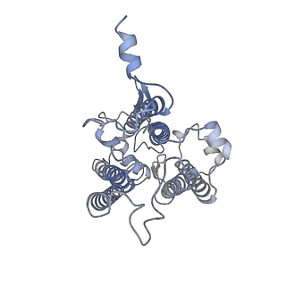 9995_6kig_s_v1-2
Structure of cyanobacterial photosystem I-IsiA supercomplex
