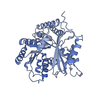9996_6kio_a_v1-1
Complex of yeast cytoplasmic dynein MTBD-High and MT without DTT