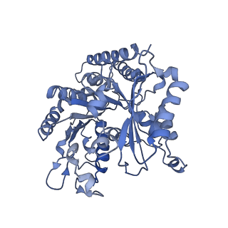 9996_6kio_b_v1-1
Complex of yeast cytoplasmic dynein MTBD-High and MT without DTT