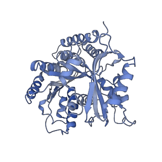 9997_6kiq_a_v1-1
Complex of yeast cytoplasmic dynein MTBD-High and MT with DTT