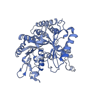 9997_6kiq_b_v1-1
Complex of yeast cytoplasmic dynein MTBD-High and MT with DTT