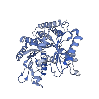 9997_6kiq_b_v1-2
Complex of yeast cytoplasmic dynein MTBD-High and MT with DTT