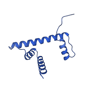 9998_6kiu_D_v1-3
Cryo-EM structure of human MLL1-ubNCP complex (3.2 angstrom)