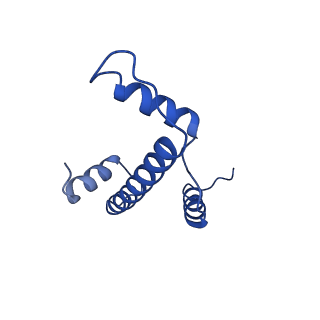 9998_6kiu_E_v1-3
Cryo-EM structure of human MLL1-ubNCP complex (3.2 angstrom)