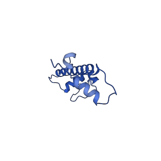 9998_6kiu_G_v1-4
Cryo-EM structure of human MLL1-ubNCP complex (3.2 angstrom)