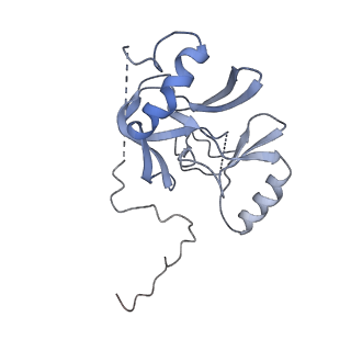 9998_6kiu_K_v1-3
Cryo-EM structure of human MLL1-ubNCP complex (3.2 angstrom)