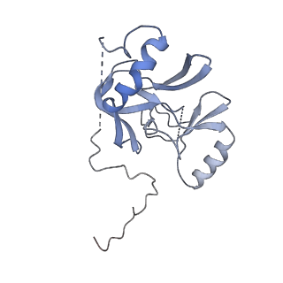 9998_6kiu_K_v1-4
Cryo-EM structure of human MLL1-ubNCP complex (3.2 angstrom)