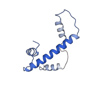 9999_6kiv_A_v1-3
Cryo-EM structure of human MLL1-ubNCP complex (4.0 angstrom)