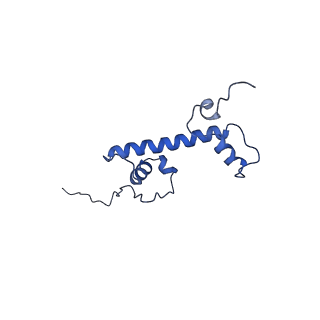 9999_6kiv_C_v1-3
Cryo-EM structure of human MLL1-ubNCP complex (4.0 angstrom)