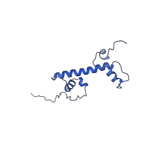 9999_6kiv_C_v1-4
Cryo-EM structure of human MLL1-ubNCP complex (4.0 angstrom)