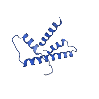 9999_6kiv_D_v1-3
Cryo-EM structure of human MLL1-ubNCP complex (4.0 angstrom)