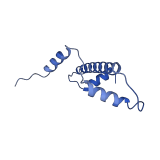 9999_6kiv_E_v1-3
Cryo-EM structure of human MLL1-ubNCP complex (4.0 angstrom)