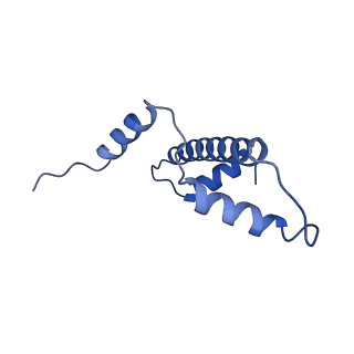 9999_6kiv_E_v1-4
Cryo-EM structure of human MLL1-ubNCP complex (4.0 angstrom)