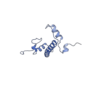 9999_6kiv_G_v1-3
Cryo-EM structure of human MLL1-ubNCP complex (4.0 angstrom)