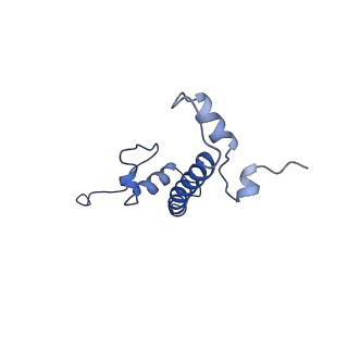 9999_6kiv_G_v1-4
Cryo-EM structure of human MLL1-ubNCP complex (4.0 angstrom)