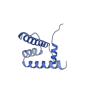 9999_6kiv_H_v1-3
Cryo-EM structure of human MLL1-ubNCP complex (4.0 angstrom)