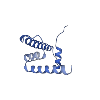 9999_6kiv_H_v1-4
Cryo-EM structure of human MLL1-ubNCP complex (4.0 angstrom)