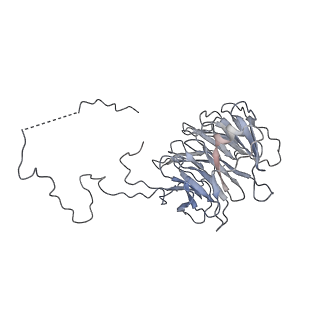 9999_6kiv_N_v1-3
Cryo-EM structure of human MLL1-ubNCP complex (4.0 angstrom)