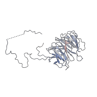 9999_6kiv_N_v1-4
Cryo-EM structure of human MLL1-ubNCP complex (4.0 angstrom)