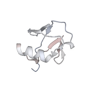 9999_6kiv_O_v1-3
Cryo-EM structure of human MLL1-ubNCP complex (4.0 angstrom)