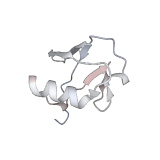 9999_6kiv_O_v1-4
Cryo-EM structure of human MLL1-ubNCP complex (4.0 angstrom)
