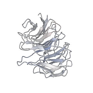 9999_6kiv_R_v1-3
Cryo-EM structure of human MLL1-ubNCP complex (4.0 angstrom)