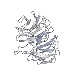 9999_6kiv_R_v1-4
Cryo-EM structure of human MLL1-ubNCP complex (4.0 angstrom)