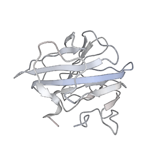 9999_6kiv_T_v1-3
Cryo-EM structure of human MLL1-ubNCP complex (4.0 angstrom)