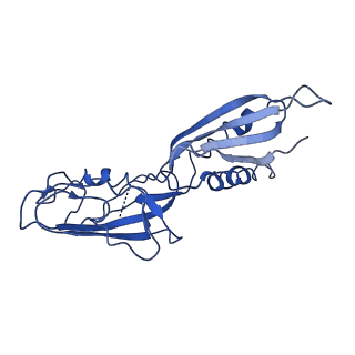 0700_6kj6_A_v1-0
cryo-EM structure of Escherichia coli Crl transcription activation complex
