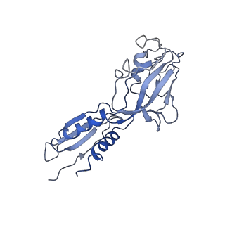 0700_6kj6_B_v1-0
cryo-EM structure of Escherichia coli Crl transcription activation complex