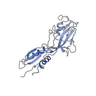 0700_6kj6_B_v1-1
cryo-EM structure of Escherichia coli Crl transcription activation complex