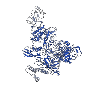 0700_6kj6_C_v1-0
cryo-EM structure of Escherichia coli Crl transcription activation complex