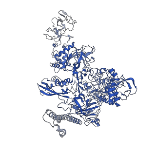 0700_6kj6_C_v1-1
cryo-EM structure of Escherichia coli Crl transcription activation complex