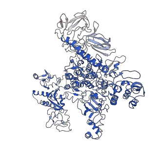0700_6kj6_D_v1-0
cryo-EM structure of Escherichia coli Crl transcription activation complex