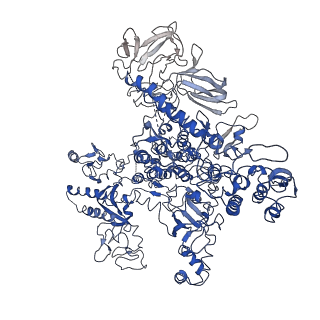 0700_6kj6_D_v1-1
cryo-EM structure of Escherichia coli Crl transcription activation complex