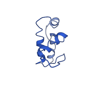 0700_6kj6_E_v1-0
cryo-EM structure of Escherichia coli Crl transcription activation complex