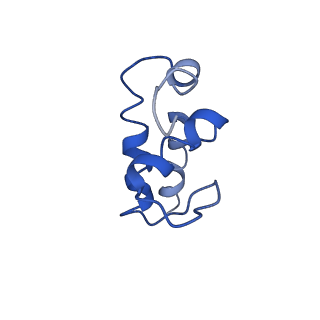 0700_6kj6_E_v1-1
cryo-EM structure of Escherichia coli Crl transcription activation complex