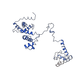 0700_6kj6_F_v1-0
cryo-EM structure of Escherichia coli Crl transcription activation complex