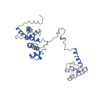 0700_6kj6_F_v1-1
cryo-EM structure of Escherichia coli Crl transcription activation complex