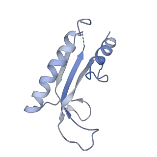 0700_6kj6_J_v1-0
cryo-EM structure of Escherichia coli Crl transcription activation complex
