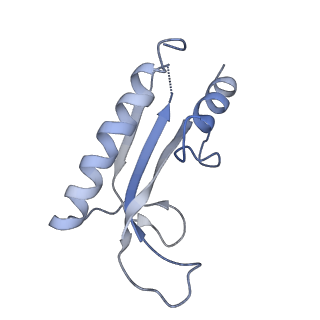 0700_6kj6_J_v1-1
cryo-EM structure of Escherichia coli Crl transcription activation complex