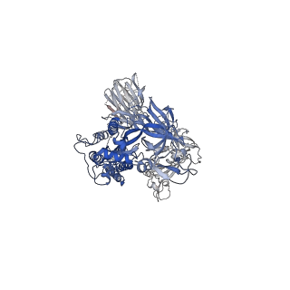 22891_7kj2_A_v1-2
SARS-CoV-2 Spike Glycoprotein with one ACE2 Bound