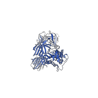 22891_7kj2_C_v1-2
SARS-CoV-2 Spike Glycoprotein with one ACE2 Bound