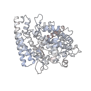 22891_7kj2_D_v1-2
SARS-CoV-2 Spike Glycoprotein with one ACE2 Bound